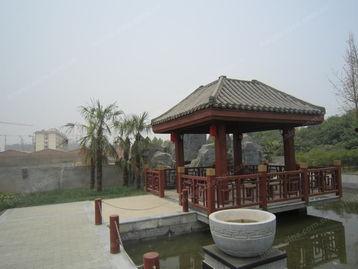 阳光台照片,阳光台照片赏析