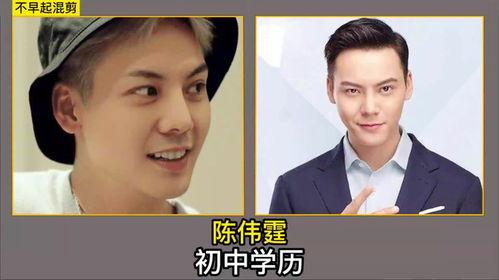 学历低的演员,揭秘那些才华横溢的低学历演员