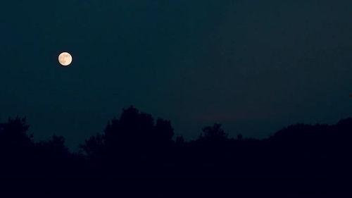 杨涵斌个人资料,才华横溢的青年才俊，多领域成就斐然