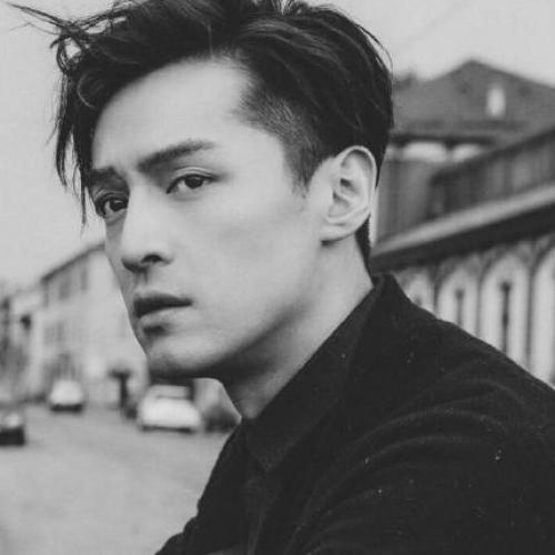 胡歌高中照片,从青涩少年到璀璨明星的蜕变之路